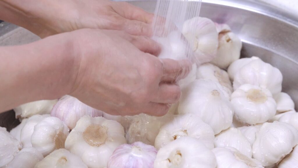 아삭한 마늘장아찌 담그는법. 1년이 지나도 녹변현상 걱정 없이 맛있는 마늘장아찌 만드는법